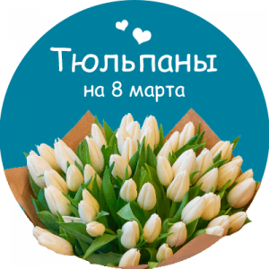 Купить тюльпаны в Дмитрове